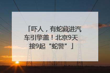 吓人，有蛇藏进汽车引擎盖！北京9天接9起“蛇警”