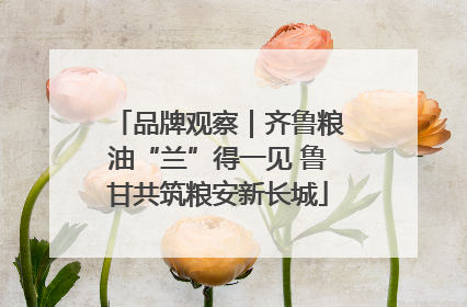 品牌观察｜齐鲁粮油“兰”得一见 鲁甘共筑粮安新长城