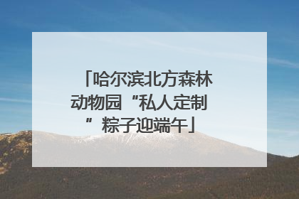 哈尔滨北方森林动物园“私人定制”粽子迎端午