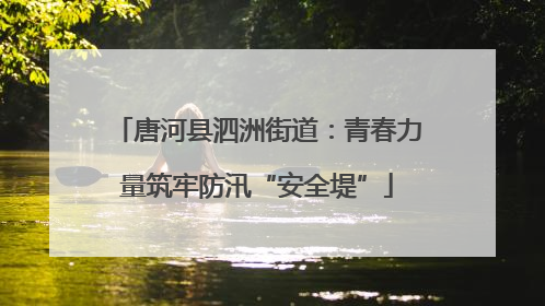 唐河县泗洲街道：青春力量筑牢防汛“安全堤”
