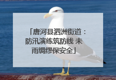 唐河县泗洲街道：防汛演练筑防线 未雨绸缪保安全