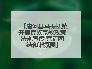 唐河县马振抚镇开展民族宗教政策法规宣传 营造团结和谐氛围