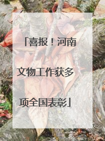 喜报！河南文物工作获多项全国表彰