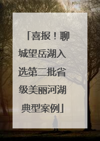 喜报！聊城望岳湖入选第二批省级美丽河湖典型案例