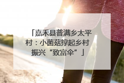 嘉禾县普满乡太平村：小菌菇撑起乡村振兴“致富伞”