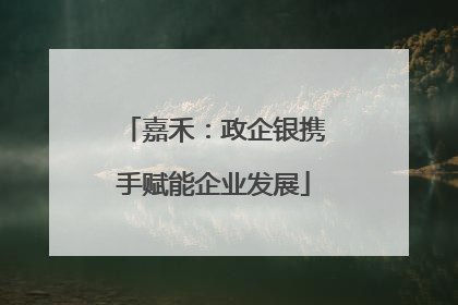嘉禾：政企银携手赋能企业发展