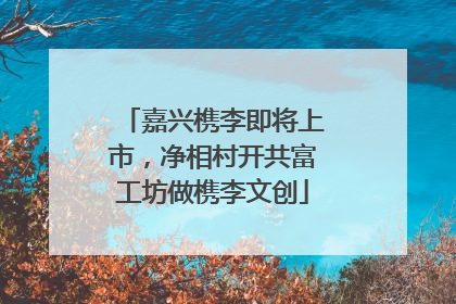 嘉兴槜李即将上市，净相村开共富工坊做槜李文创