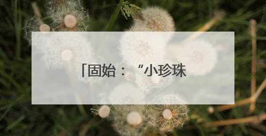 固始：“小珍珠”亮出农文旅产业“大手笔”