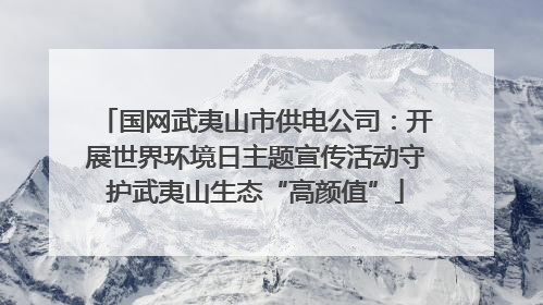 国网武夷山市供电公司：开展世界环境日主题宣传活动守护武夷山生态“高颜值”