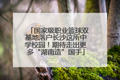 国家级职业篮球双基地落户长沙这所中学校园！期待走出更多“湖南造”国手