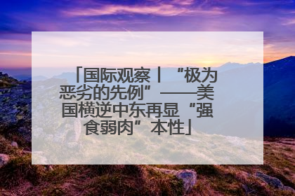 国际观察丨“极为恶劣的先例”——美国横逆中东再显“强食弱肉”本性