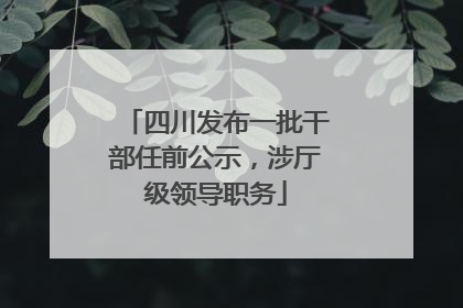 四川发布一批干部任前公示，涉厅级领导职务
