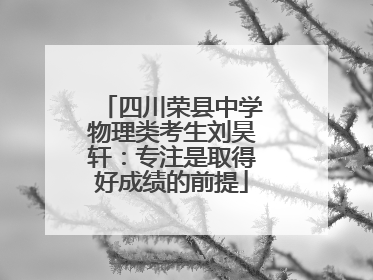 四川荣县中学物理类考生刘昊轩：专注是取得好成绩的前提