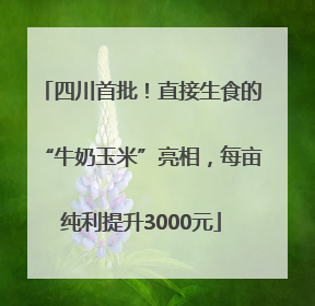 四川首批！直接生食的“牛奶玉米”亮相，每亩纯利提升3000元