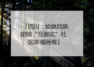 四川：绘就民族团结“互嵌式”社区幸福画卷