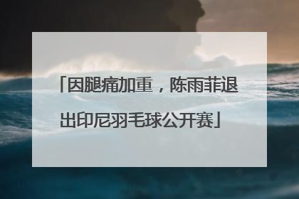 因腿痛加重，陈雨菲退出印尼羽毛球公开赛