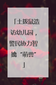 土拨鼠造访幼儿园，警民协力智擒“萌兽”
