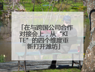 在与跨国公司合作对接会上，从“KITE”的四个维度重新打开潍坊
