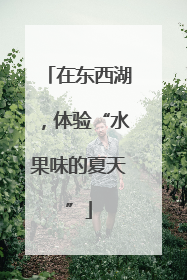 在东西湖，体验“水果味的夏天”