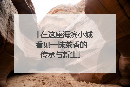 在这座海滨小城 看见一抹茶香的传承与新生
