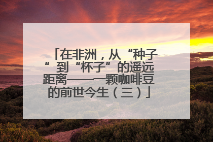在非洲，从“种子”到“杯子”的遥远距离——一颗咖啡豆的前世今生（三）