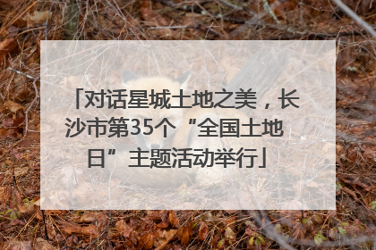对话星城土地之美，长沙市第35个“全国土地日”主题活动举行