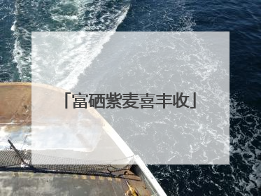 富硒紫麦喜丰收