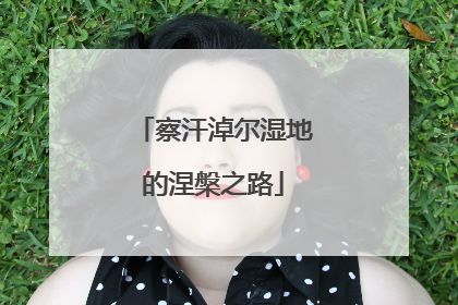 察汗淖尔湿地的涅槃之路
