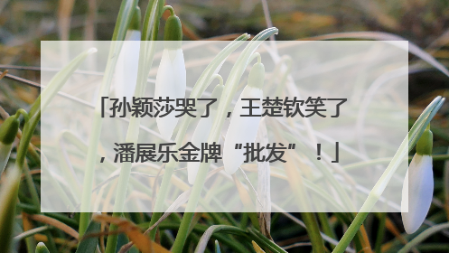 孙颖莎哭了，王楚钦笑了，潘展乐金牌“批发”！