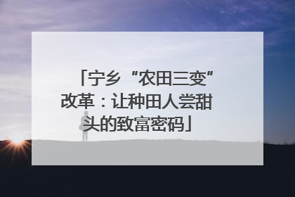 宁乡“农田三变”改革：让种田人尝甜头的致富密码