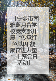 宁乡市南雅蓝月谷学校党支部开展“传承红色基因 凝聚奋进力量”主题党日活动
