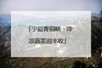 宁夏青铜峡：冷凉蔬菜迎丰收