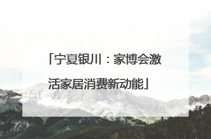 宁夏银川：家博会激活家居消费新动能