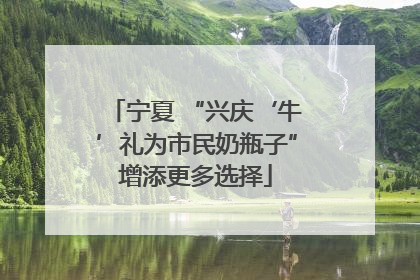 宁夏 “兴庆‘牛’礼为市民奶瓶子”增添更多选择