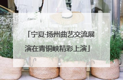 宁夏·扬州曲艺交流展演在青铜峡精彩上演