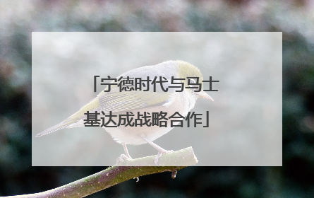 宁德时代与马士基达成战略合作
