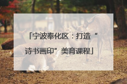 宁波奉化区：打造“诗书画印”美育课程