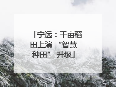宁远：千亩稻田上演 “智慧种田” 升级