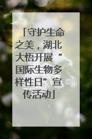 守护生命之美，湖北大悟开展“国际生物多样性日”宣传活动