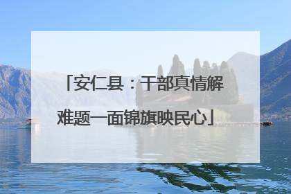 安仁县：干部真情解难题一面锦旗映民心