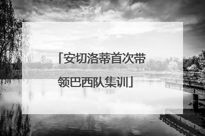 安切洛蒂首次带领巴西队集训
