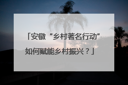 安徽“乡村著名行动”如何赋能乡村振兴？