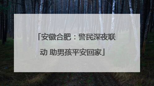 安徽合肥：警民深夜联动 助男孩平安回家