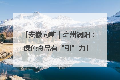 安徽向前｜亳州涡阳：绿色食品有“引”力