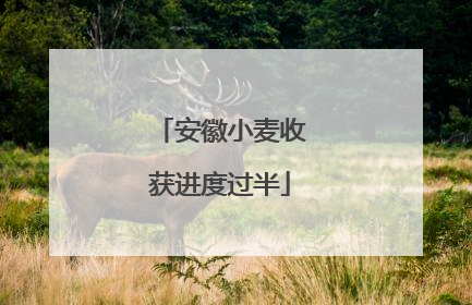 安徽小麦收获进度过半
