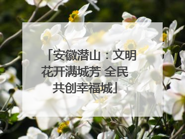 安徽潜山：文明花开满城芳 全民共创幸福城