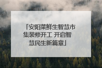 安阳菜鲜生智慧市集装修开工 开启智慧民生新篇章