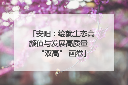 安阳：绘就生态高颜值与发展高质量 “双高” 画卷