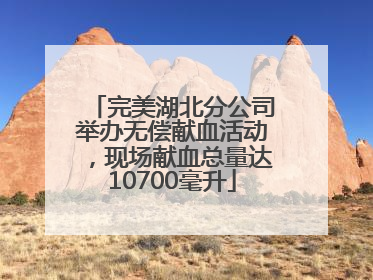 完美湖北分公司举办无偿献血活动，现场献血总量达10700毫升