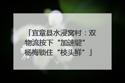 宜章县水浸窝村：双物流按下“加速键” 杨梅锁住“枝头鲜”